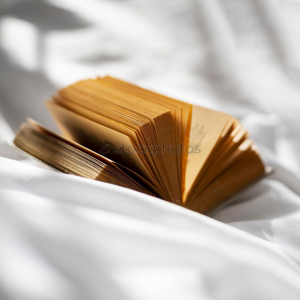 Image, Stock Photo Reading in bed