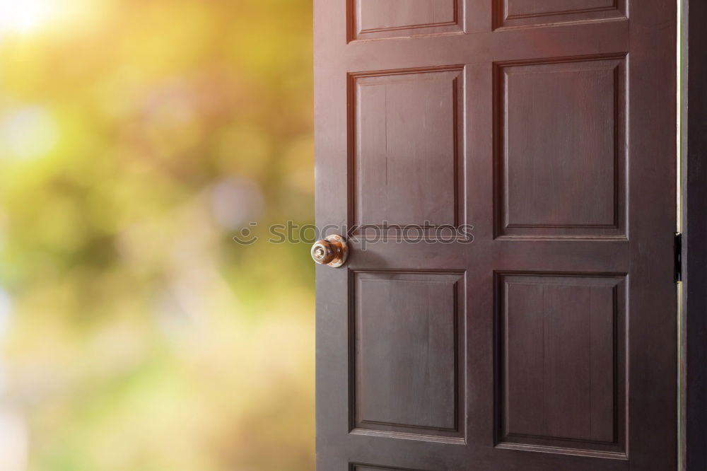 Similar – Image, Stock Photo Bright vintage doors.