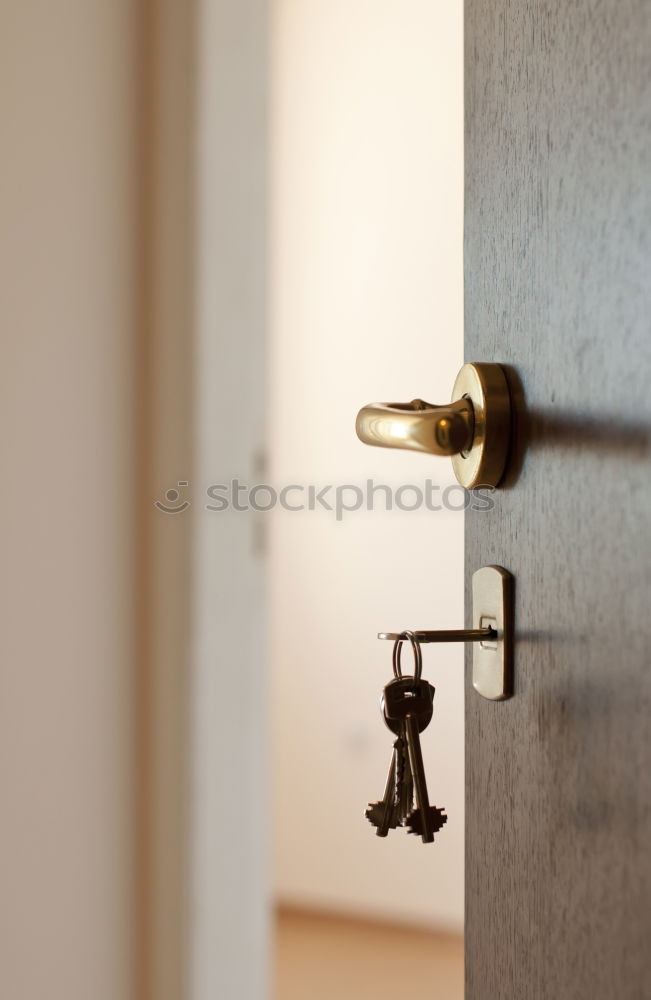 Similar – Image, Stock Photo sealed love Wall (barrier)