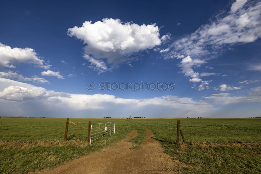 Similar – Nature Landscape Meadow