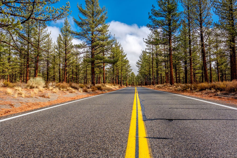 Similar – Car driving through forest