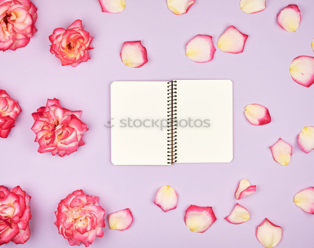 Similar – Image, Stock Photo Table with tulips, coffee and greeting card with heart
