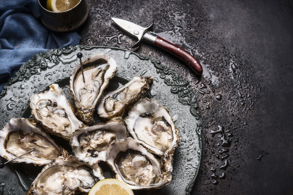 Similar – Image, Stock Photo Oysters with lemon and oyster knife