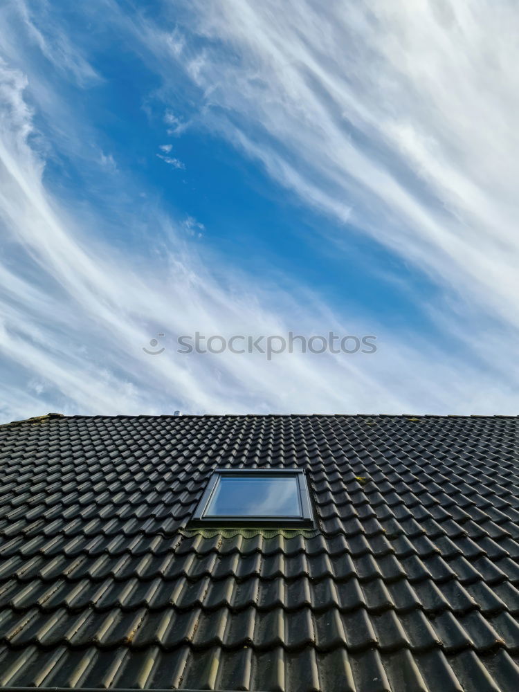 Similar – Image, Stock Photo leaf canopy