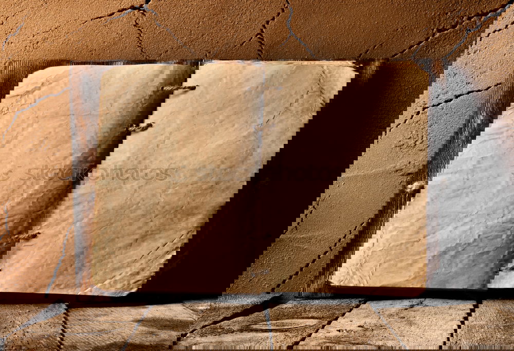 Similar – Image, Stock Photo Marasmus Senilis