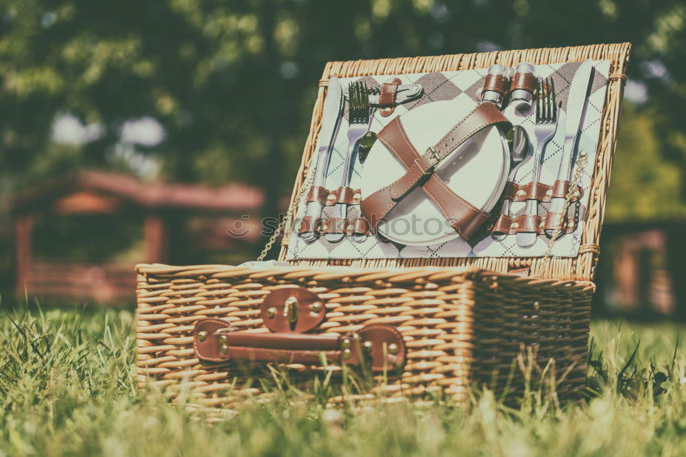 Similar – Picnic Basket Hamper With Leather Handle In Green Grass