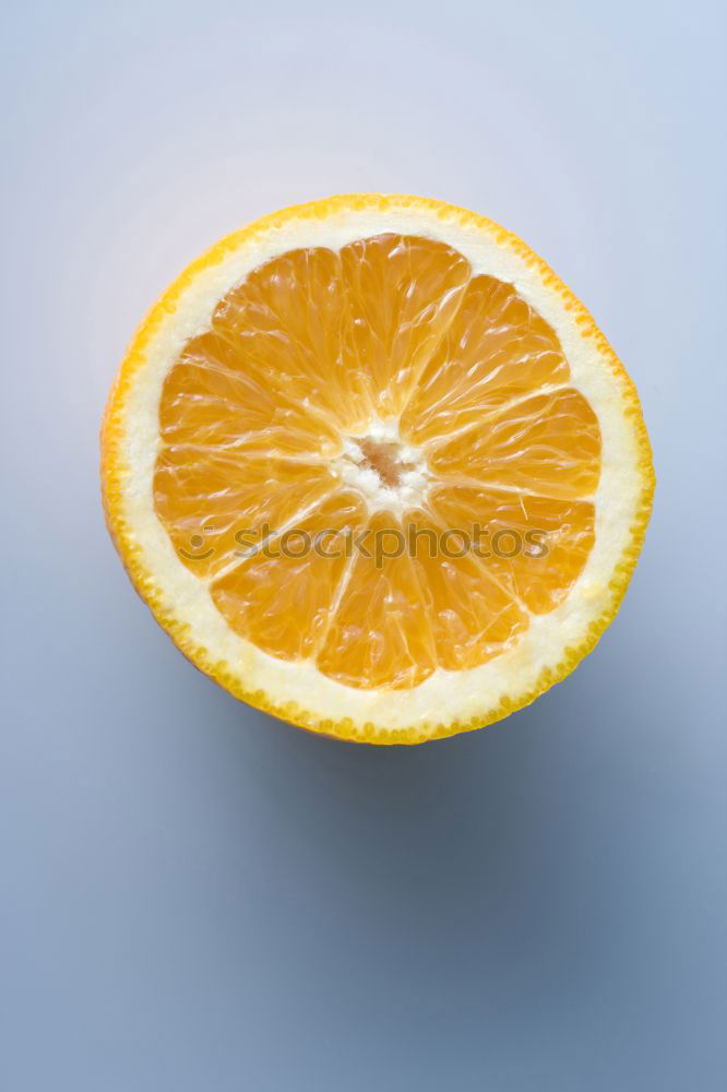 Similar – Jammy Oranges on Blue