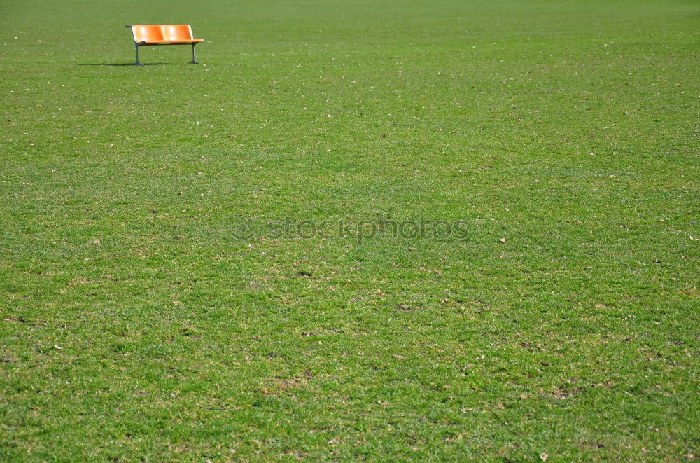 Similar – Image, Stock Photo Restrictive Grass Meadow