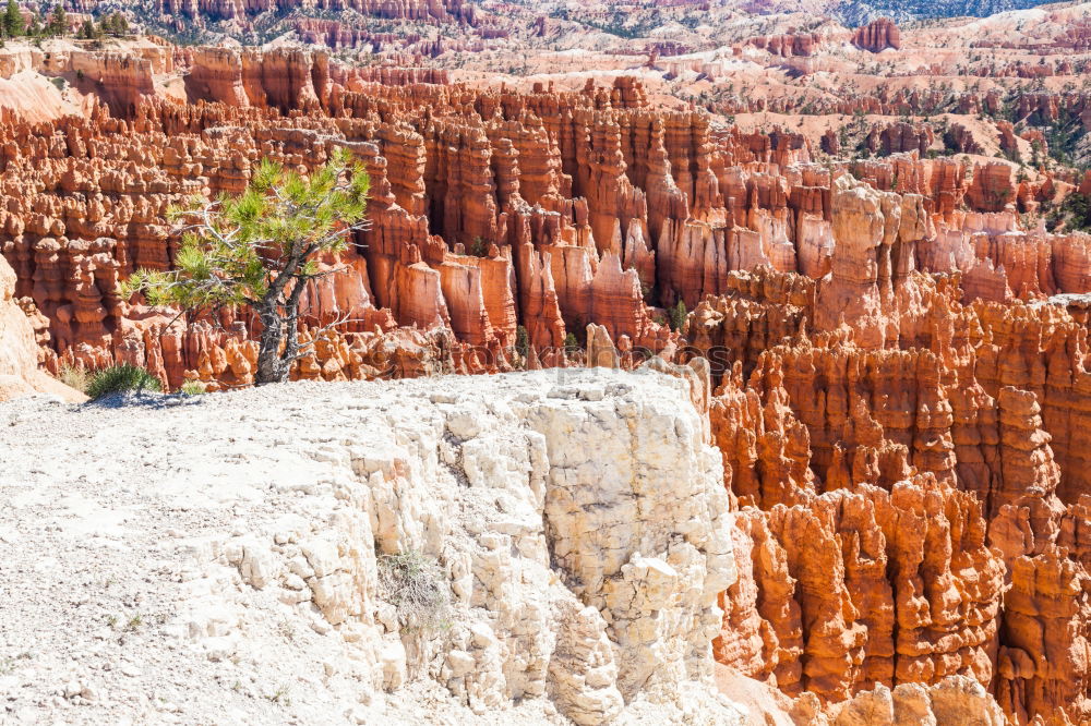 Similar – Bryce Canyon