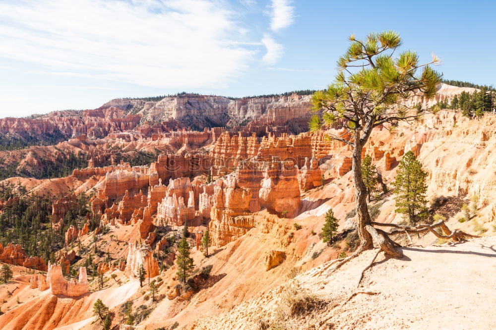 Similar – Image, Stock Photo Bryce Canyon Harmonious