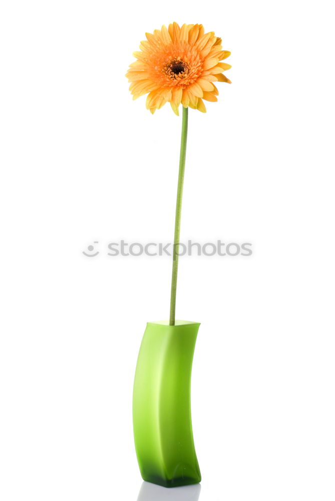 Similar – Image, Stock Photo The air’s out. (After the opening…