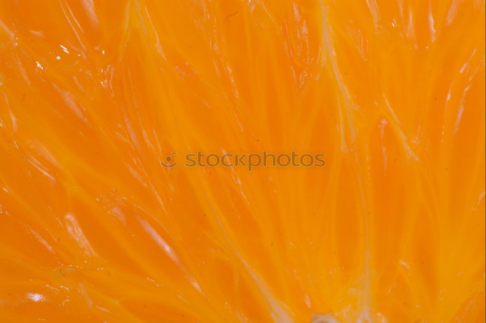 Similar – Image, Stock Photo cellulite Fruit Orange