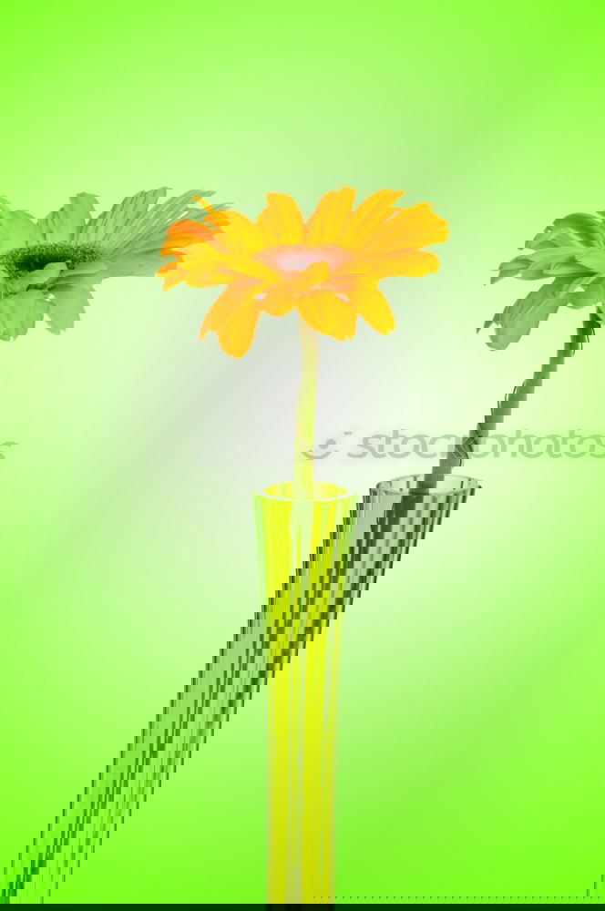 Similar – Image, Stock Photo #AS# Büdddeee! Art