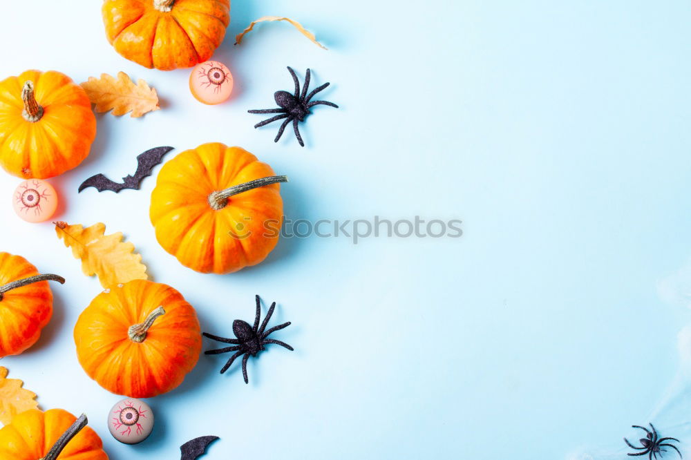 Similar – Image, Stock Photo Close up of Halloween Party drinks and decoration