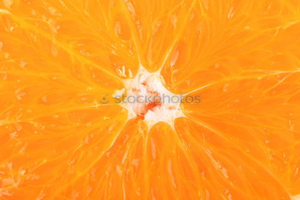 Similar – marigold Flower Marigold