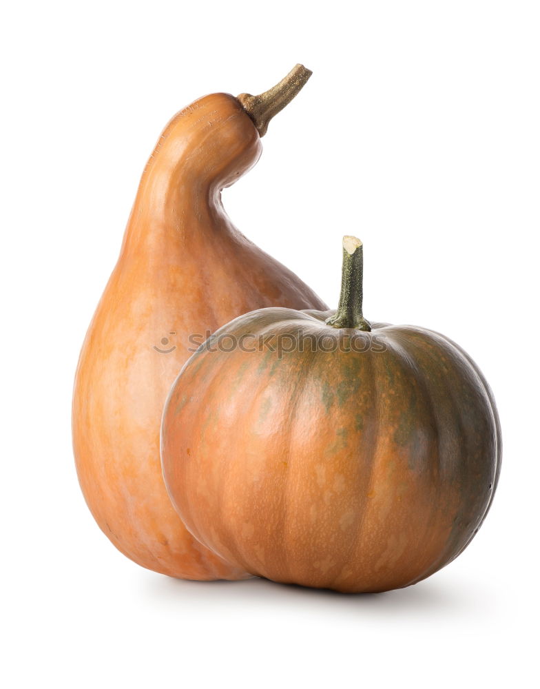 Similar – Image, Stock Photo pumpkin Round Nutrition