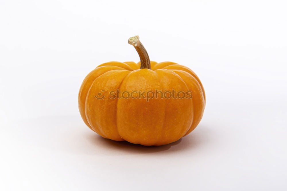 Similar – Image, Stock Photo Pumpkin stack on white