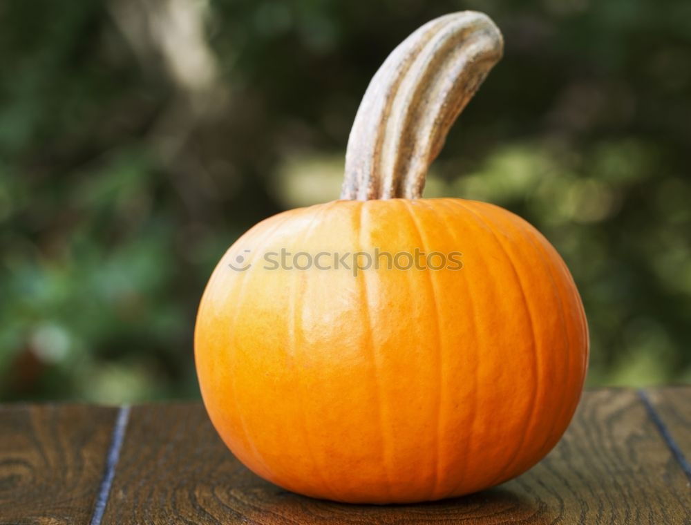 Similar – Image, Stock Photo KÜR IIV Food Vegetable