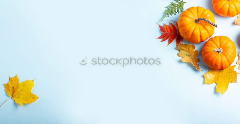 Similar – Image, Stock Photo Autumn leaves and paper on a blue background