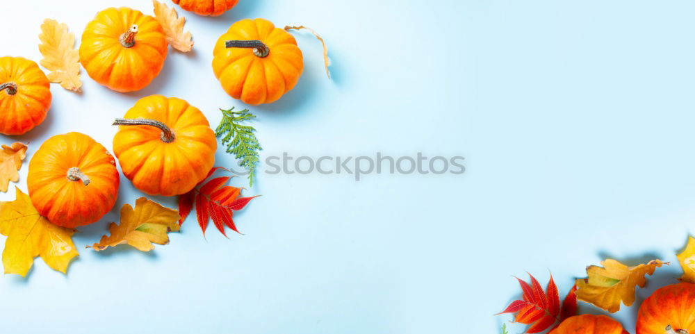 Similar – Image, Stock Photo tulip leaves Leaf Faded