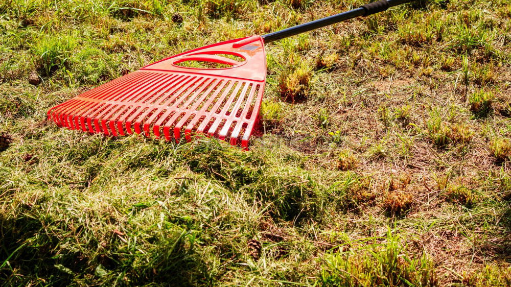 Similar – Über´n Lawn Lawn Lawnmower