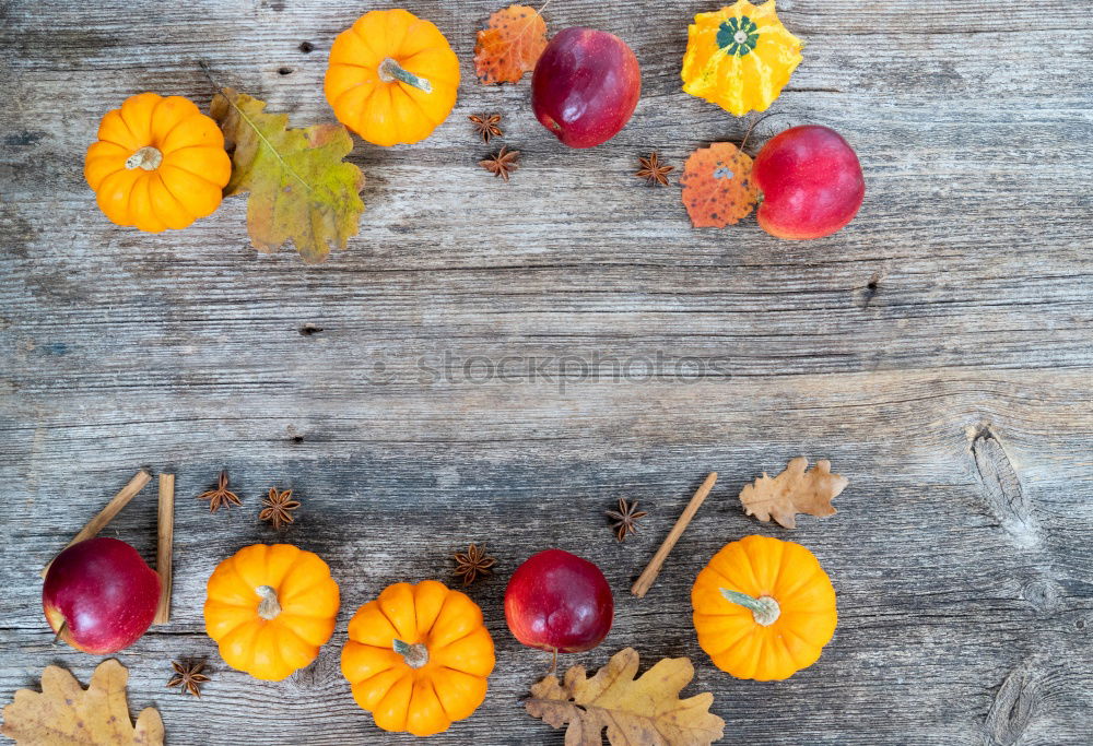 Similar – Image, Stock Photo autumn fruits Environment