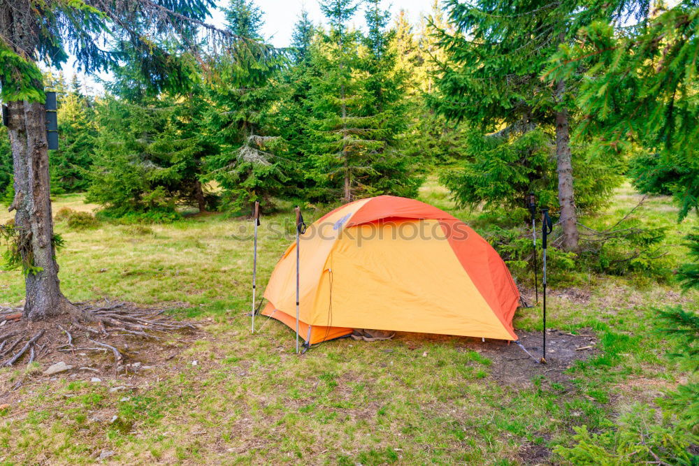 Similar – Orange tent in a pine forest