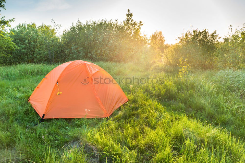 Similar – Orange tent in a pine forest