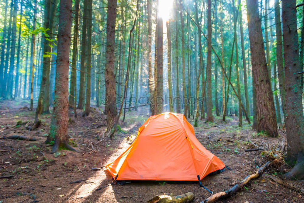 Similar – Image, Stock Photo Tent in the forest on sunlight.