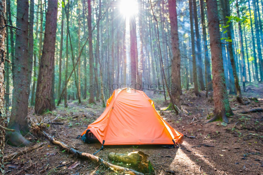 Similar – Image, Stock Photo Tent in the forest on sunlight.