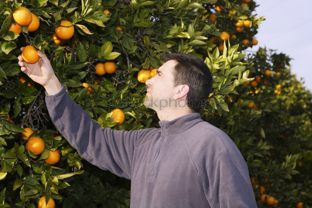 Similar – Woman picking cherry berries from tree