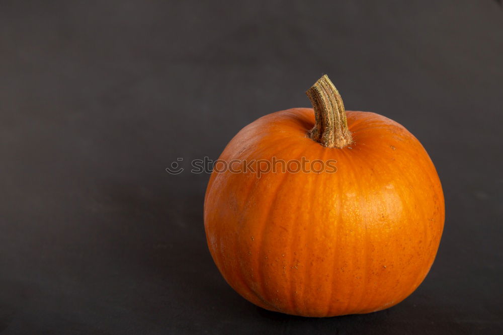 Image, Stock Photo KÜR IV Food Vegetable Soup