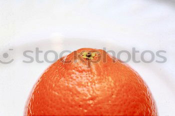 Similar – Image, Stock Photo A(rsch)apricot Apricot