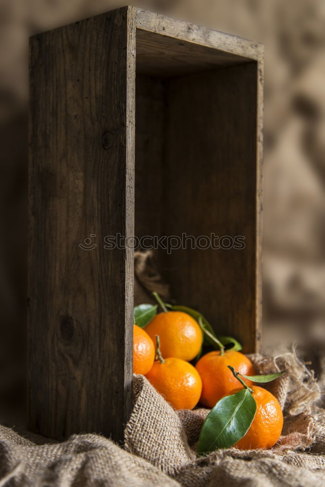 Similar – Oranges on dark background