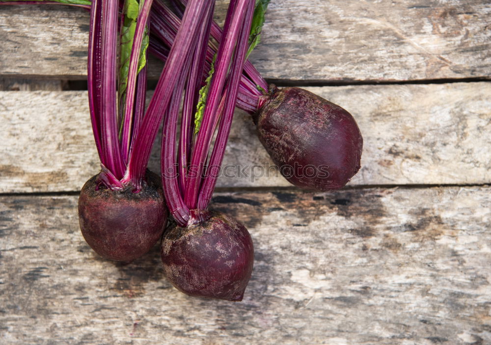 Similar – Image, Stock Photo Picking red beets