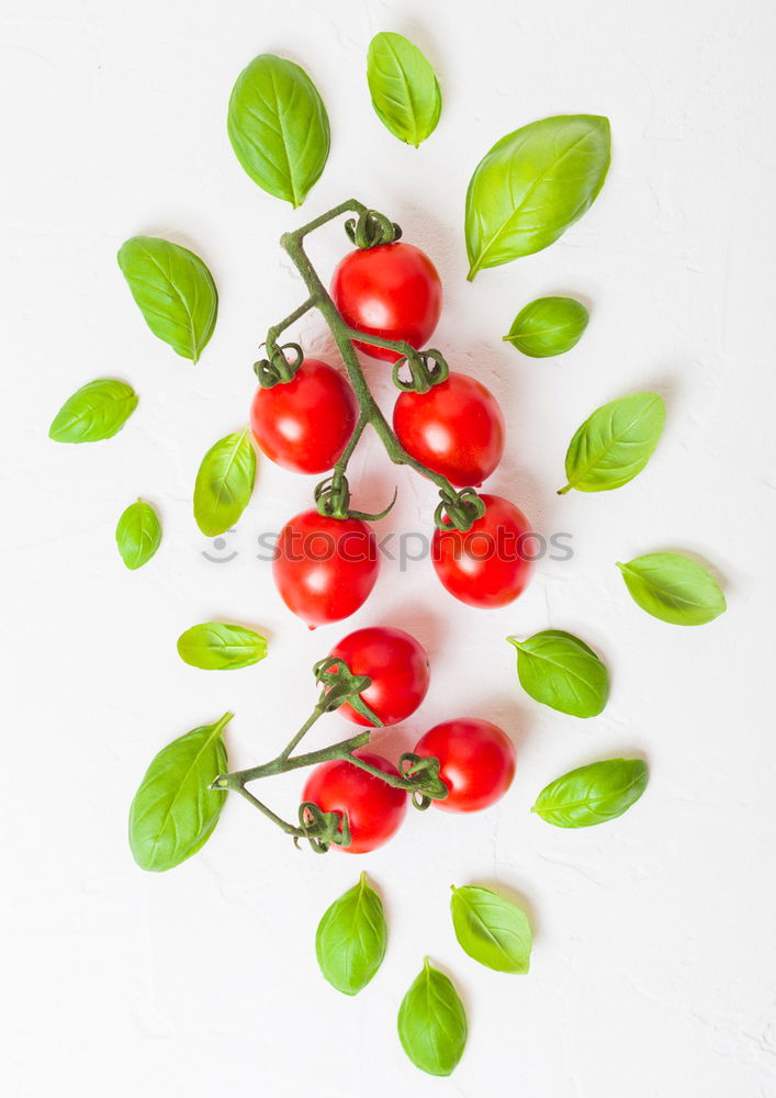 Similar – Image, Stock Photo White and red radishes with green leaves
