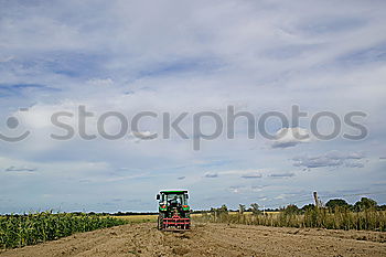 Similar – Image, Stock Photo bulldog Tractor