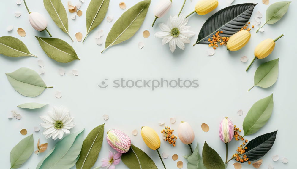 Similar – Female hands make autumn flowers decoration