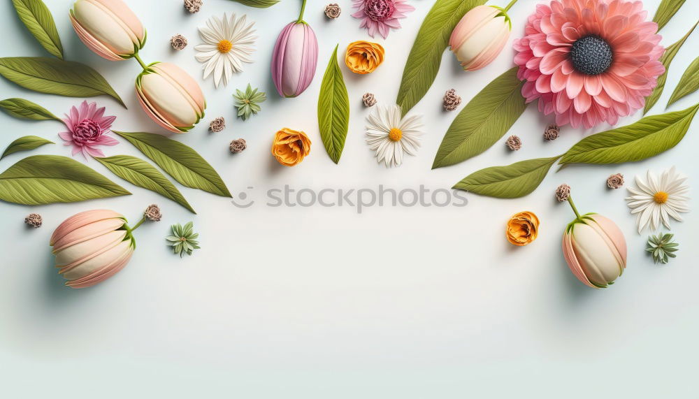 Similar – Garden tools and gloves with coloured pot flowers