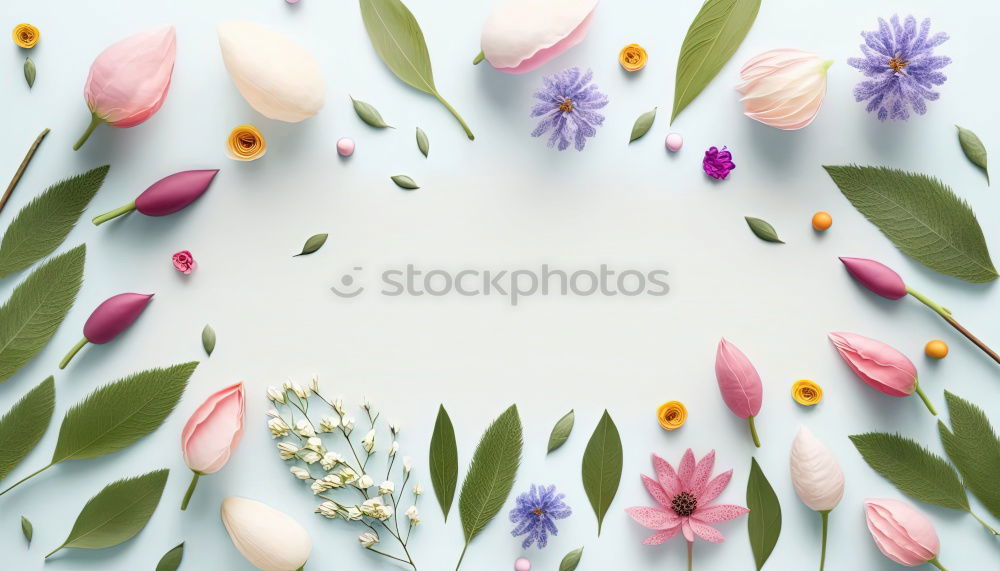 Similar – Water bowl with spring flowers