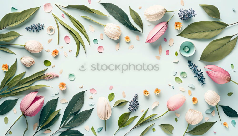 Similar – Background with cosmetics, leaves and cherry blossoms