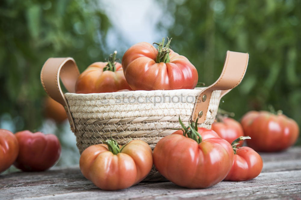 Similar – Picking tomatoes in basket