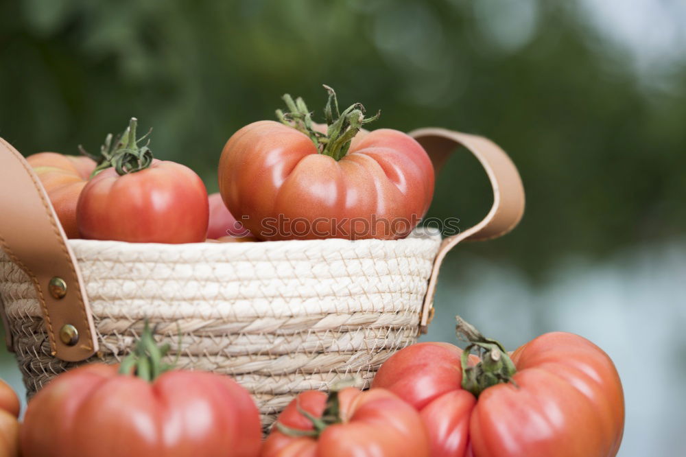 Similar – Picking tomatoes in basket