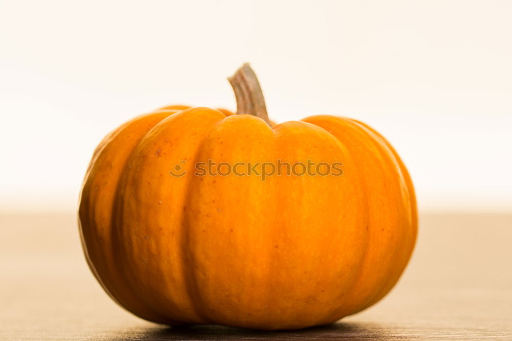 Similar – Image, Stock Photo Pumpkin on rustic wood