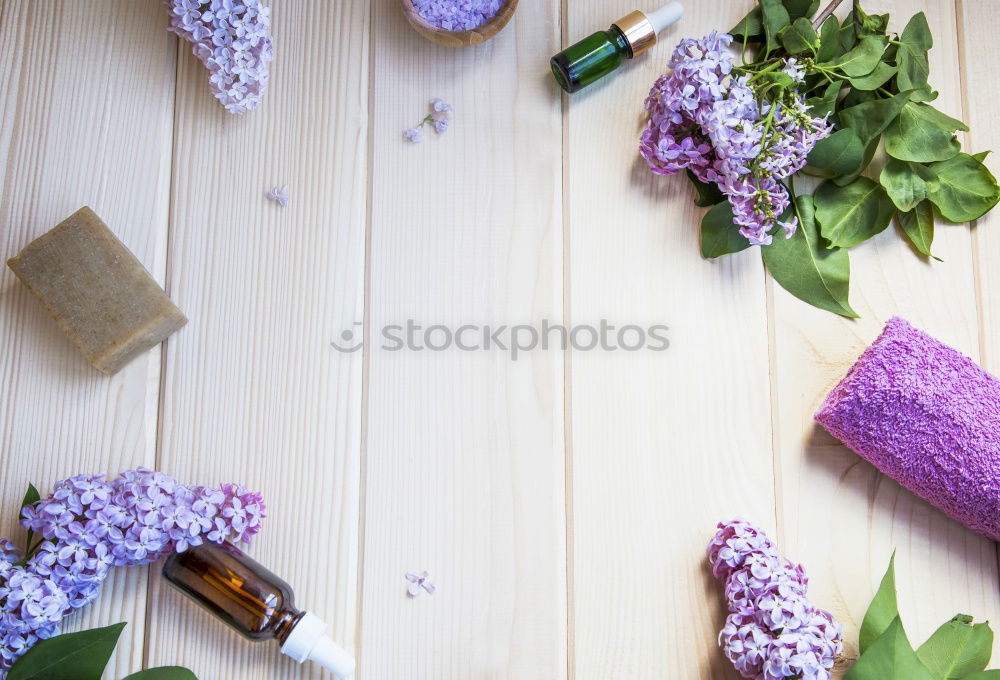 Similar – Hyacinth and shovel on white wooden table