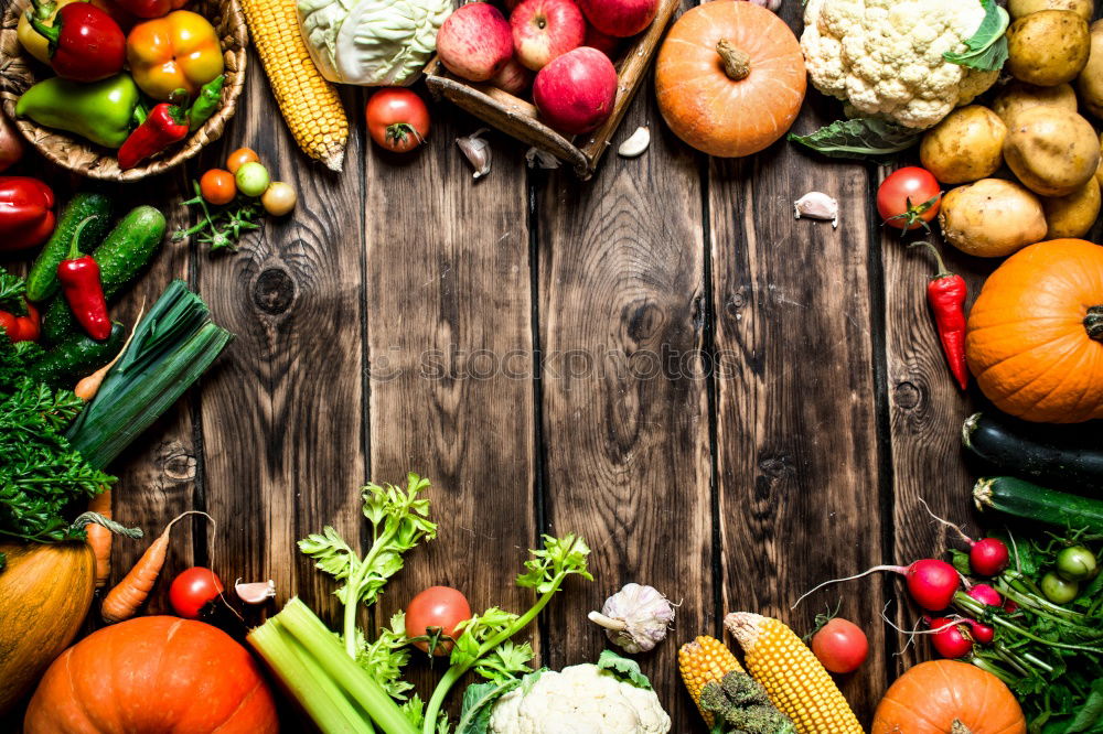 Similar – Pumpkins and various autumn vegetables