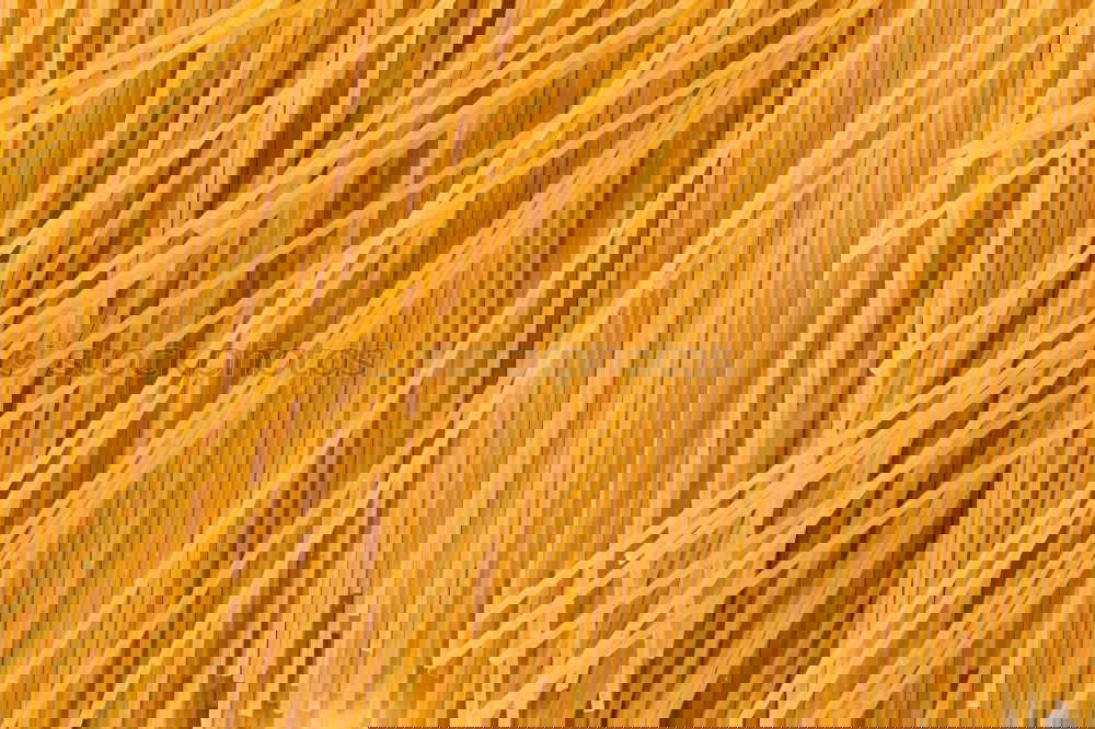 Similar – Foto Bild Pinsel in gelber Farbe
