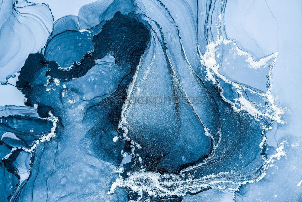 Filigree ice flower on the windscreen of a car during severe frost