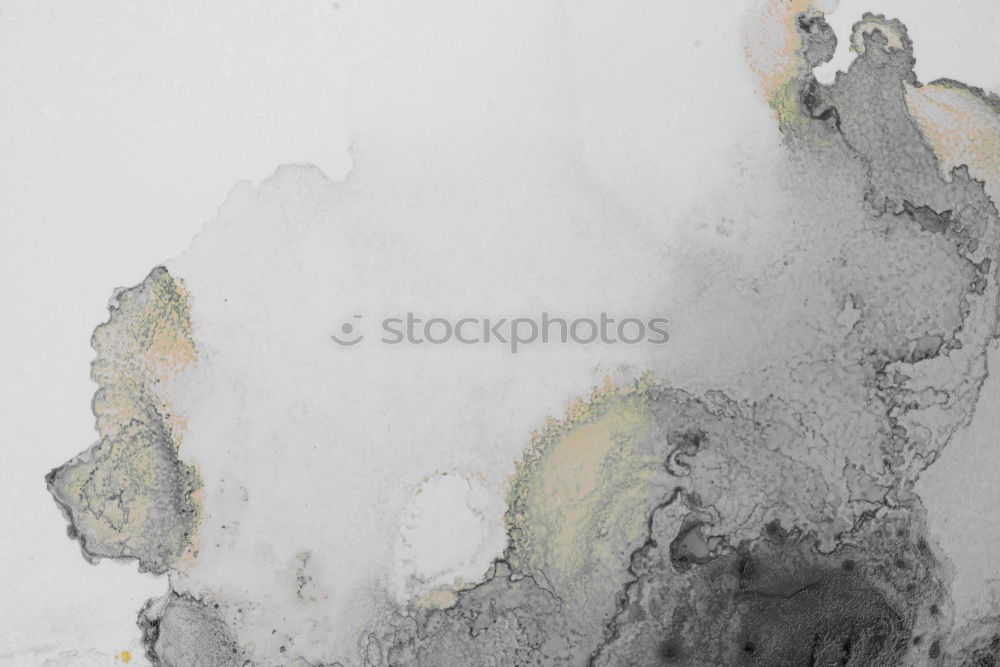 Similar – Image, Stock Photo Töräää … Crockery Plate