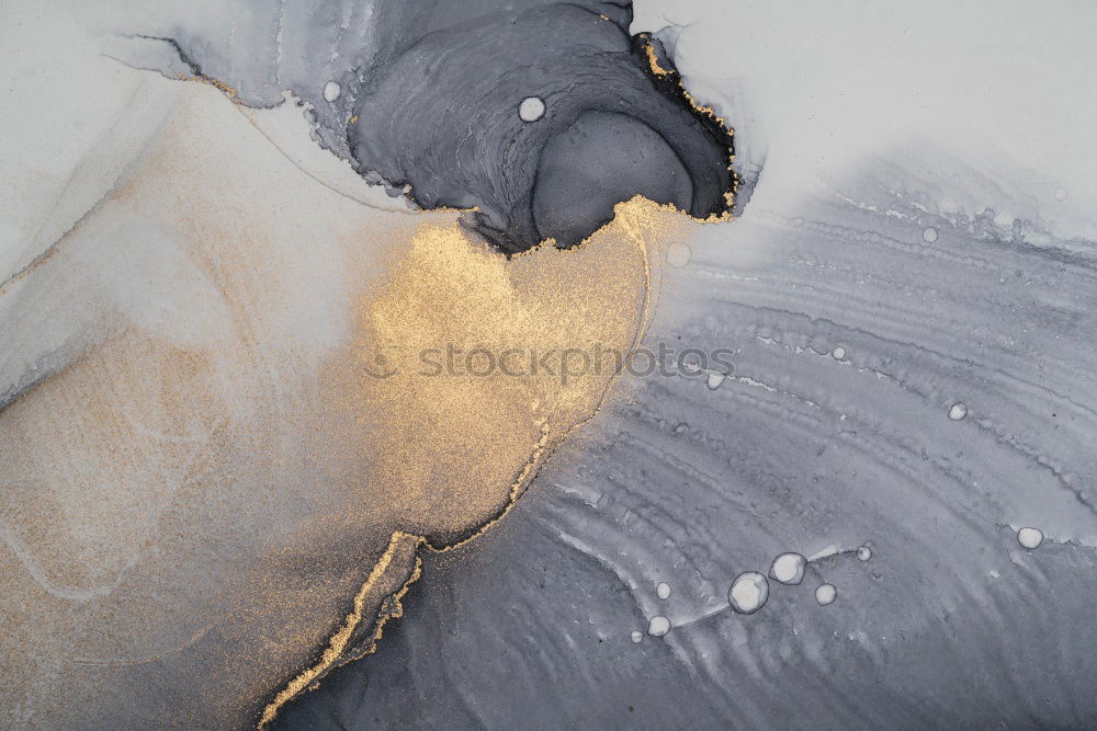 Similar – Foto Bild Katzenspielzeug Tier